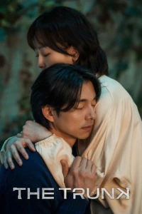 Сундук / Саквояж