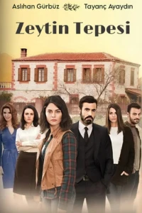 Ветка маслин